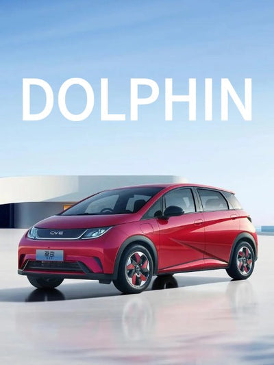 BYD Dolphin Accessories
