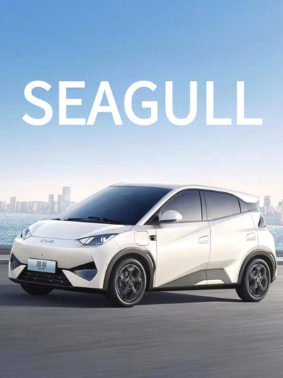 BYD Seagull Accessories
