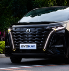 High configuration Grille Light For Denza D9