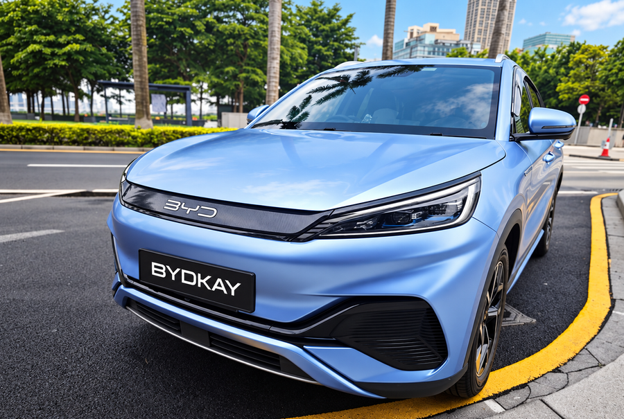 Styling Grille Slat for BYD Atto 3
