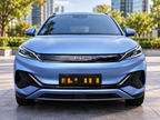 Styling Grille Slat for BYD Atto 3