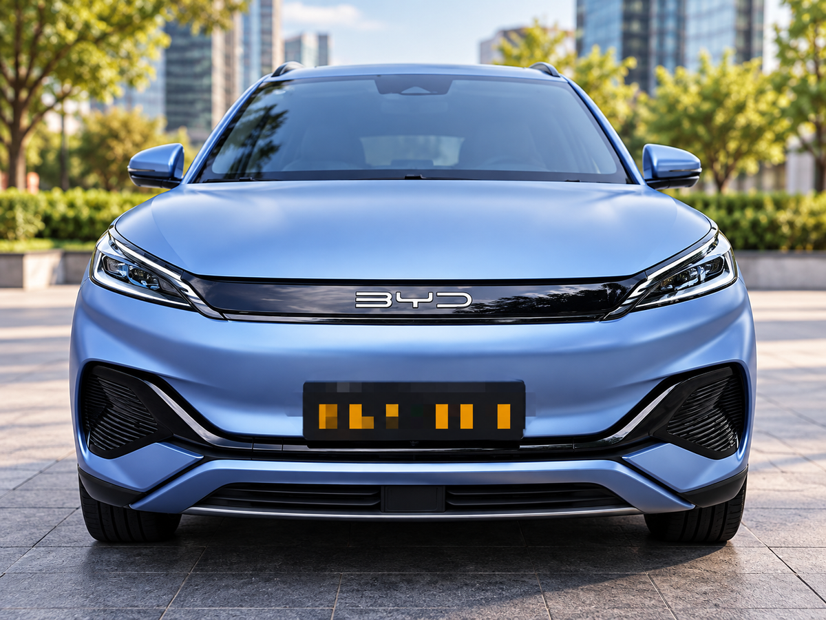 Styling Grille Slat for BYD Atto 3