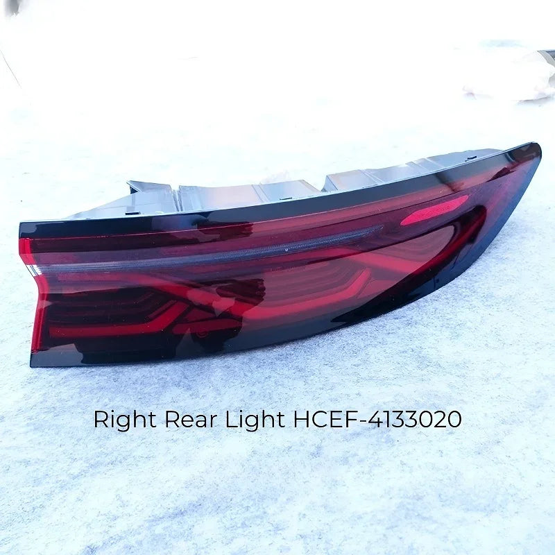 BYDHanRearLights_3 - TOP BYD LIMITED