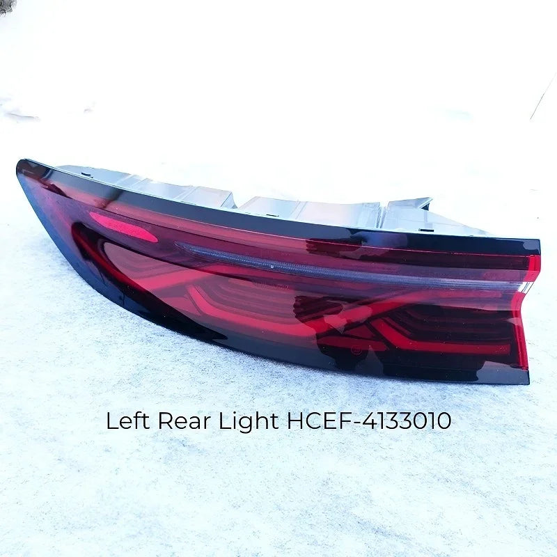 BYDHanRearLights_4 - TOP BYD LIMITED