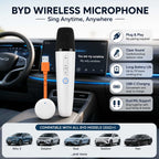 BYD Wireless Karaoke Microphone with Receiver