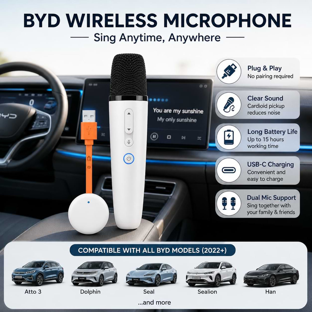 BYD Wireless Karaoke Microphone with Receiver
