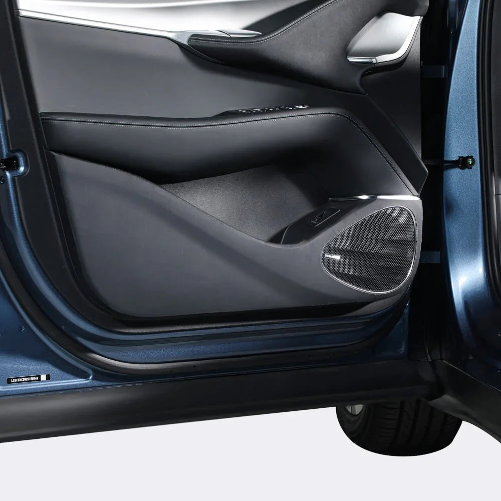 Professional view of a luxury black leather car door panel with silver speaker grille.