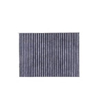 Cabin Air Filter for Denza B5/B8  | High-Efficiency 5-Layer Odor Removal AUTOEVEX