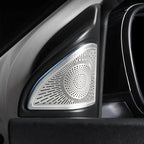 Silver metallic perforated speaker grille cover for car interior door panel