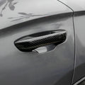 DoorHandlesCoverTrimforSealion6_5 - TOP BYD LIMITED