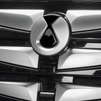 Close-up of a sleek, metallic silver BYD emblem mounted on a polished black automotive grille.