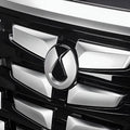 Close-up of a silver BYD emblem on a black textured automotive front grille.
