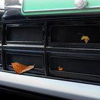 Black textured mesh speaker grille with dried autumn leaves for a natural aesthetic.