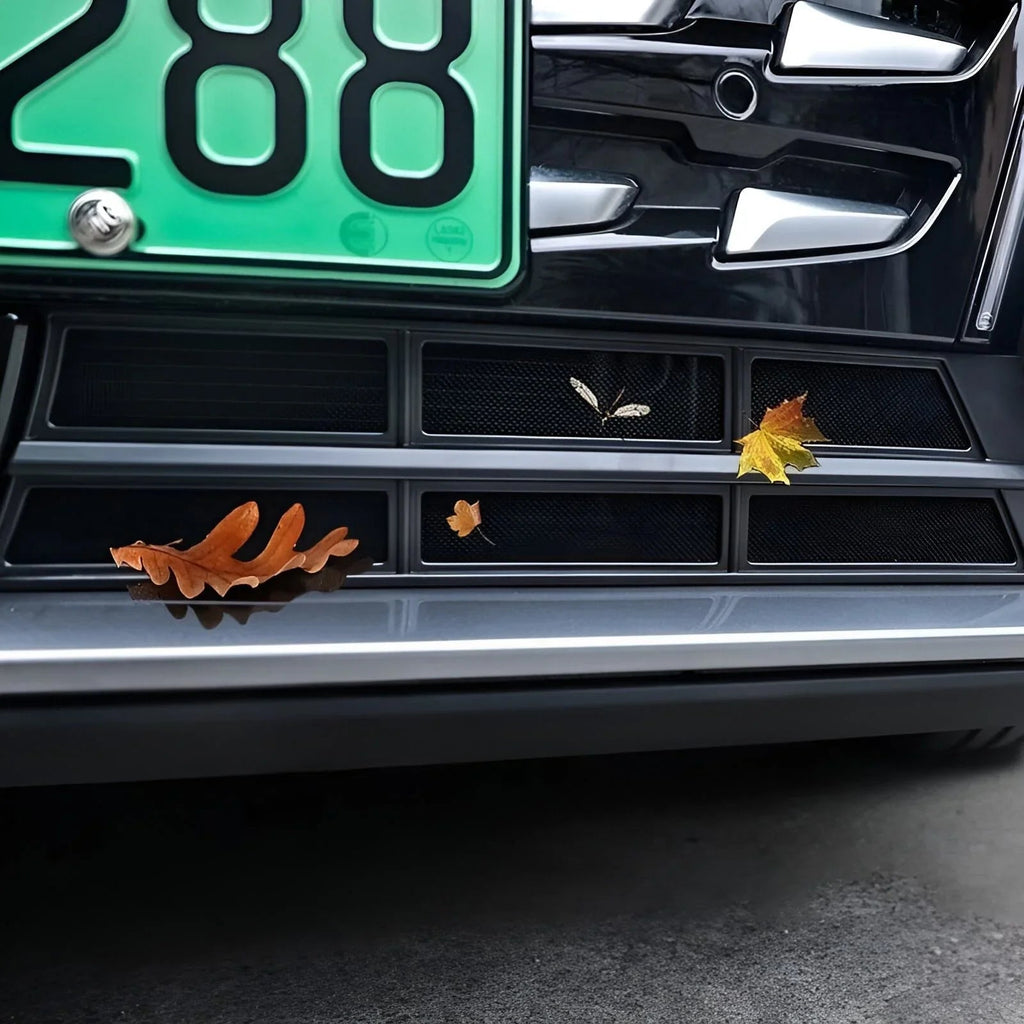 Black car front bumper grille with dried autumn leaves caught in the mesh texture.