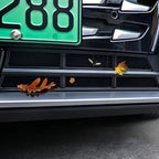 Black car front bumper grille with dried autumn leaves caught in the mesh texture.