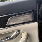 Silver metallic Dirac speaker grille with a perforated dot pattern on a black carbon fiber door panel.