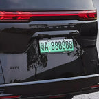 Rear view of a sleek black Denza electric vehicle featuring a bright green license plate.