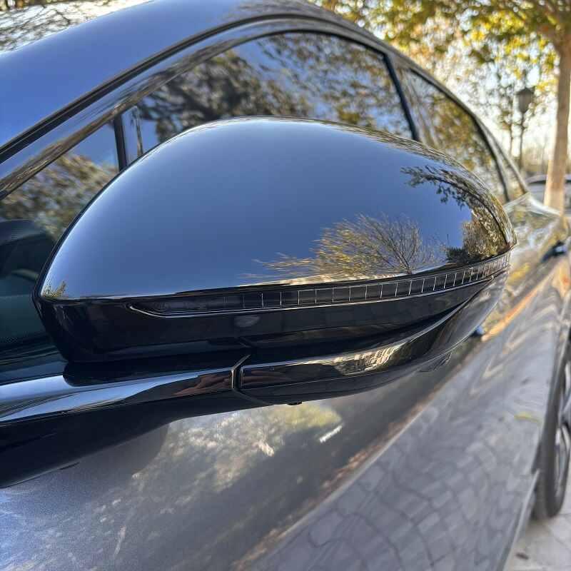SideMirrorCoverforBYDSealion7_9 - TOP BYD LIMITED