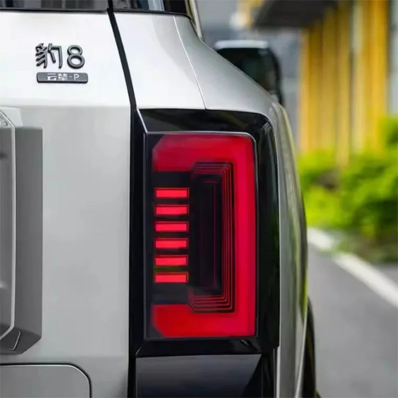Close-up of a modern silver BYD car rear with a distinctive red LED taillight and black trim.