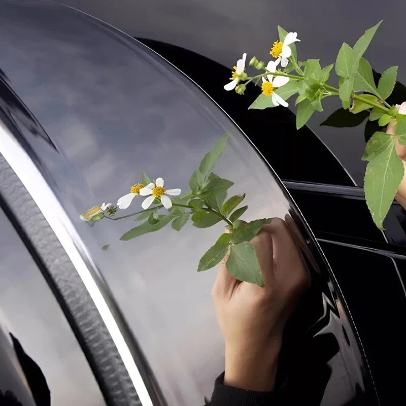 Hand holding delicate white wildflowers against a glossy black car exterior surface.