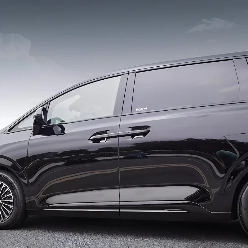 Side profile of a sleek black BYD minivan parked outdoors under a cloudy sky.