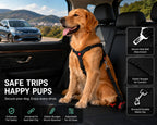 Keep your dog comfortable and secure with this adjustable no-pull dog harness and shock-absorbing bungee leash. Designed with durable nylon webbing, a quick-release safety buckle, reflective stitching, and heavy-duty metal hardware for walking, training, hiking, and everyday use. Suitable for small, medium, and large dogs.