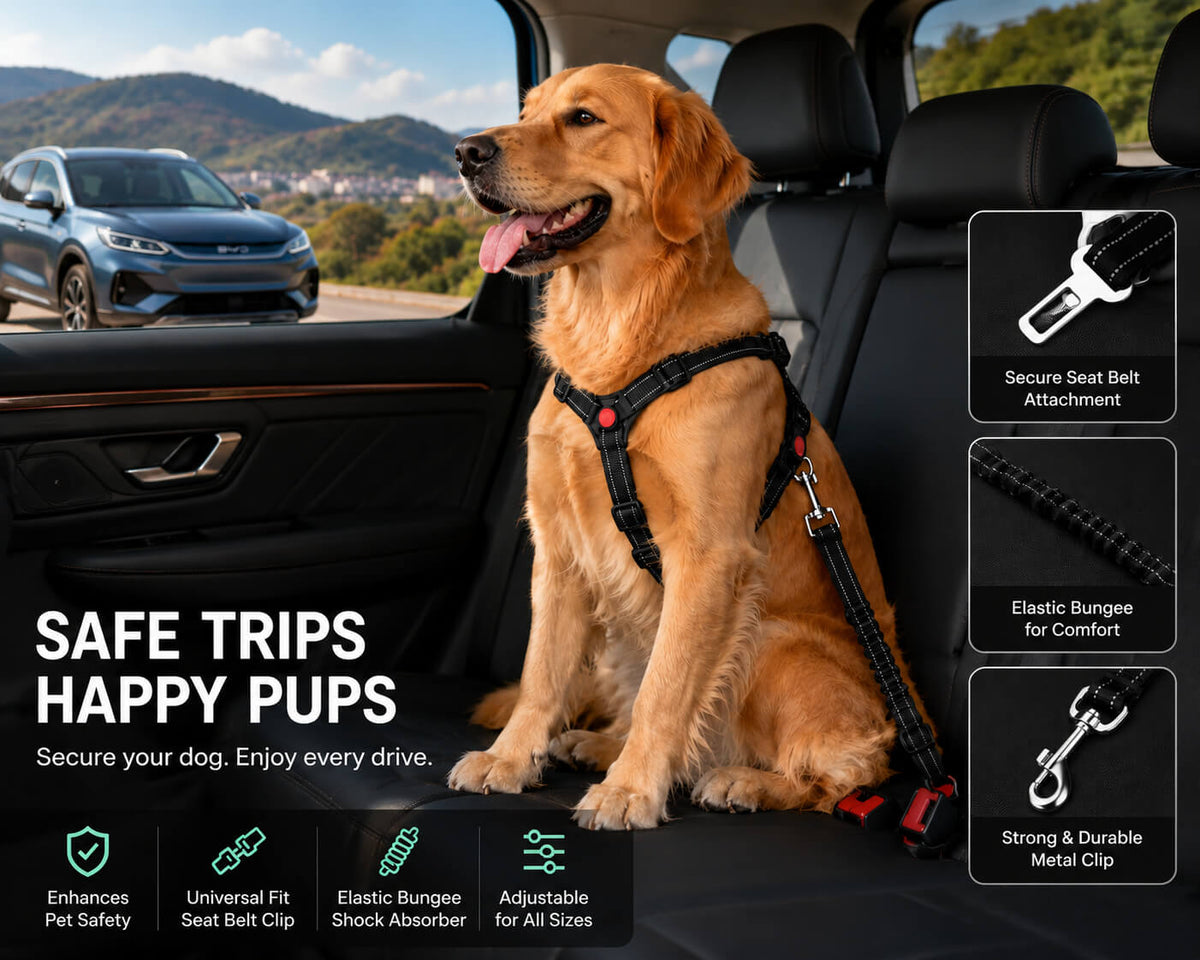 Keep your dog comfortable and secure with this adjustable no-pull dog harness and shock-absorbing bungee leash. Designed with durable nylon webbing, a quick-release safety buckle, reflective stitching, and heavy-duty metal hardware for walking, training, hiking, and everyday use. Suitable for small, medium, and large dogs.