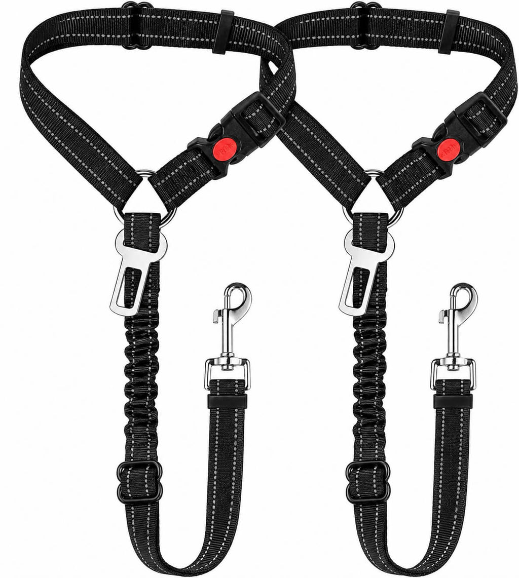 Adjustable No Pull Dog Harness with Bungee Leash