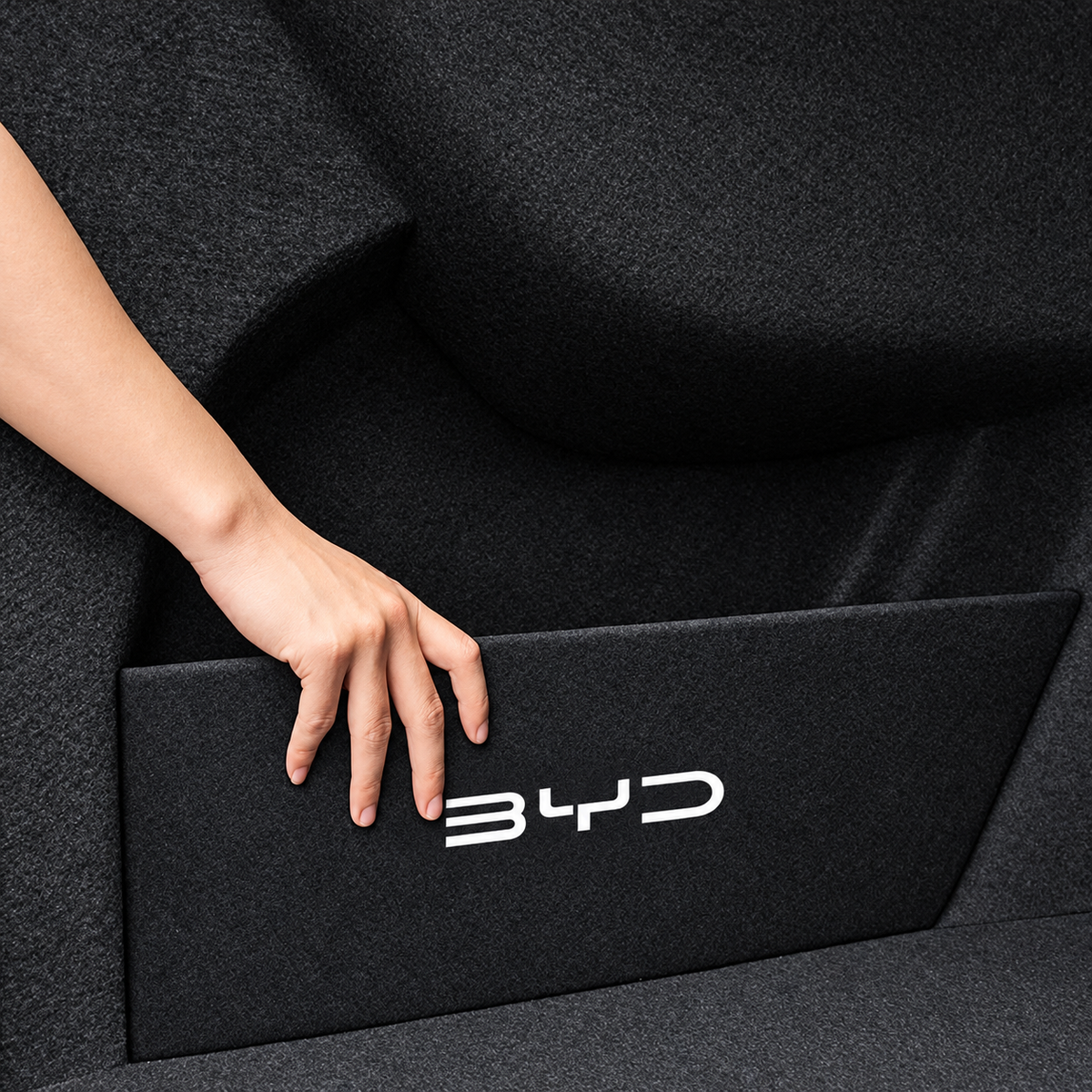 Trunk Organizer for BYD