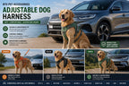 3 Color Adjustable Dog Car Safety Harness with BYD Vehicle