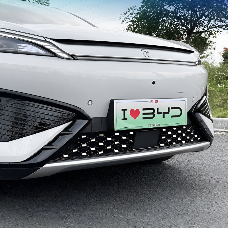 Front Grille Mesh, Radiator Insect & Debris Guard Screen for 2026 BYD Atto 3 AUTOEVEX