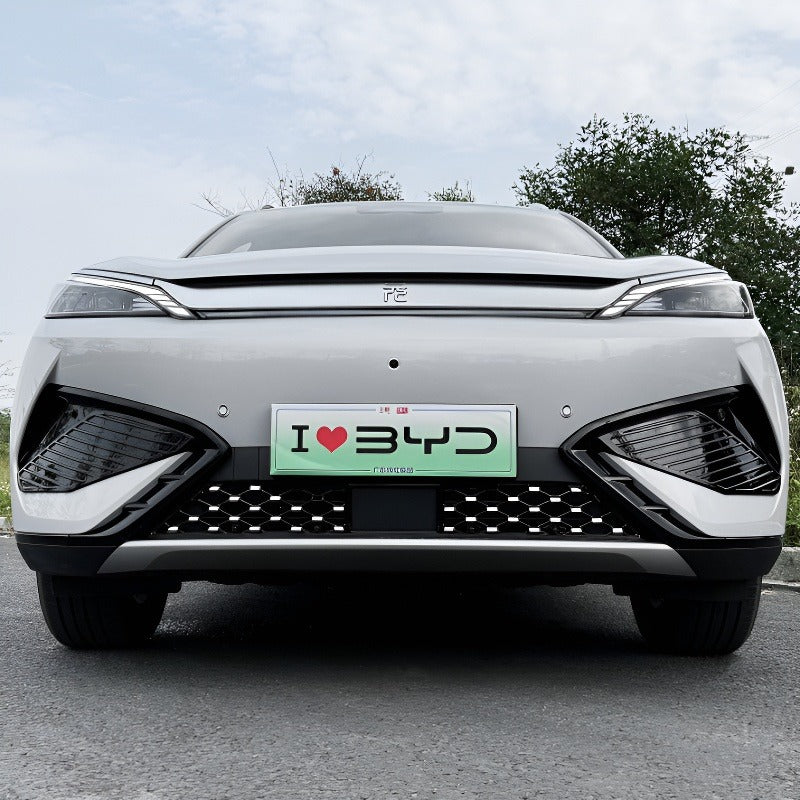 Front Grille Mesh, Radiator Insect & Debris Guard Screen for 2026 BYD Atto 3 AUTOEVEX