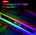 Illuminated Door Sill for Atto 3