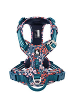 Adjustable Dog Harness for Outdoor Walking navy
