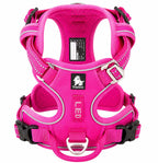 Adjustable Dog Harness for Outdoor Walking purple