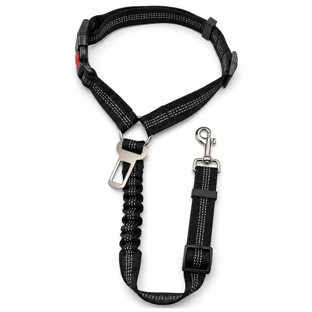 Black adjustable no pull dog harness with shock absorbing bungee leash and quick release buckle