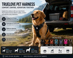 Truelove Adjustable Dog Harness for Outdoor Walking